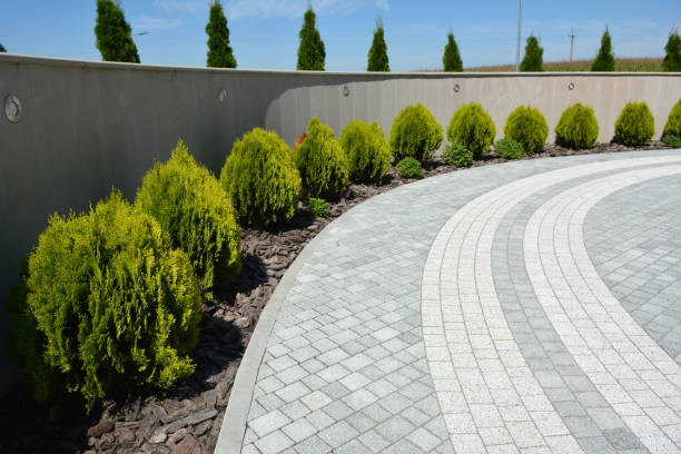 Best Concrete Paver Driveway  in Hutchinson, MN